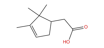 alpha-Campholenic acid